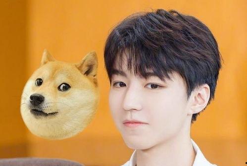 王俊凯吃瓜娱乐视频直播