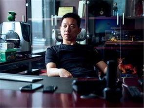 贾跃亭前妻李莉照片,贾跃亭前妻的优雅与坚韧