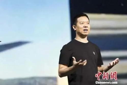 贾跃亭前妻李莉照片,贾跃亭前妻的优雅与坚韧