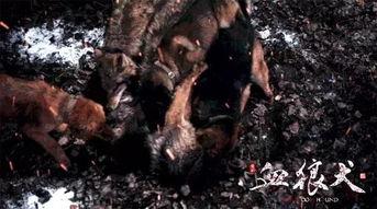 血狼犬幕后花絮