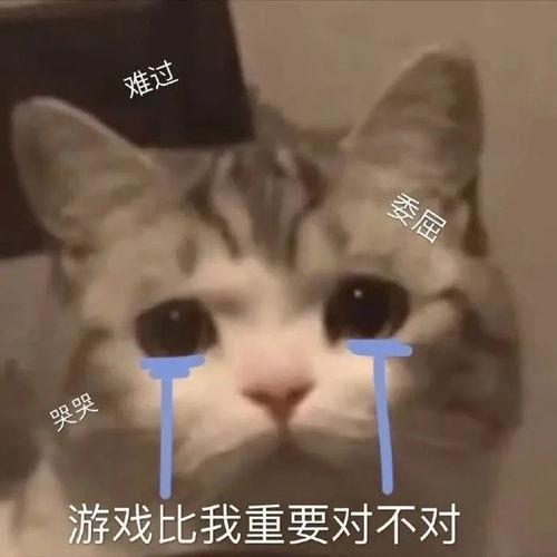 当然是母爱表情包,表情包中的温馨瞬间
